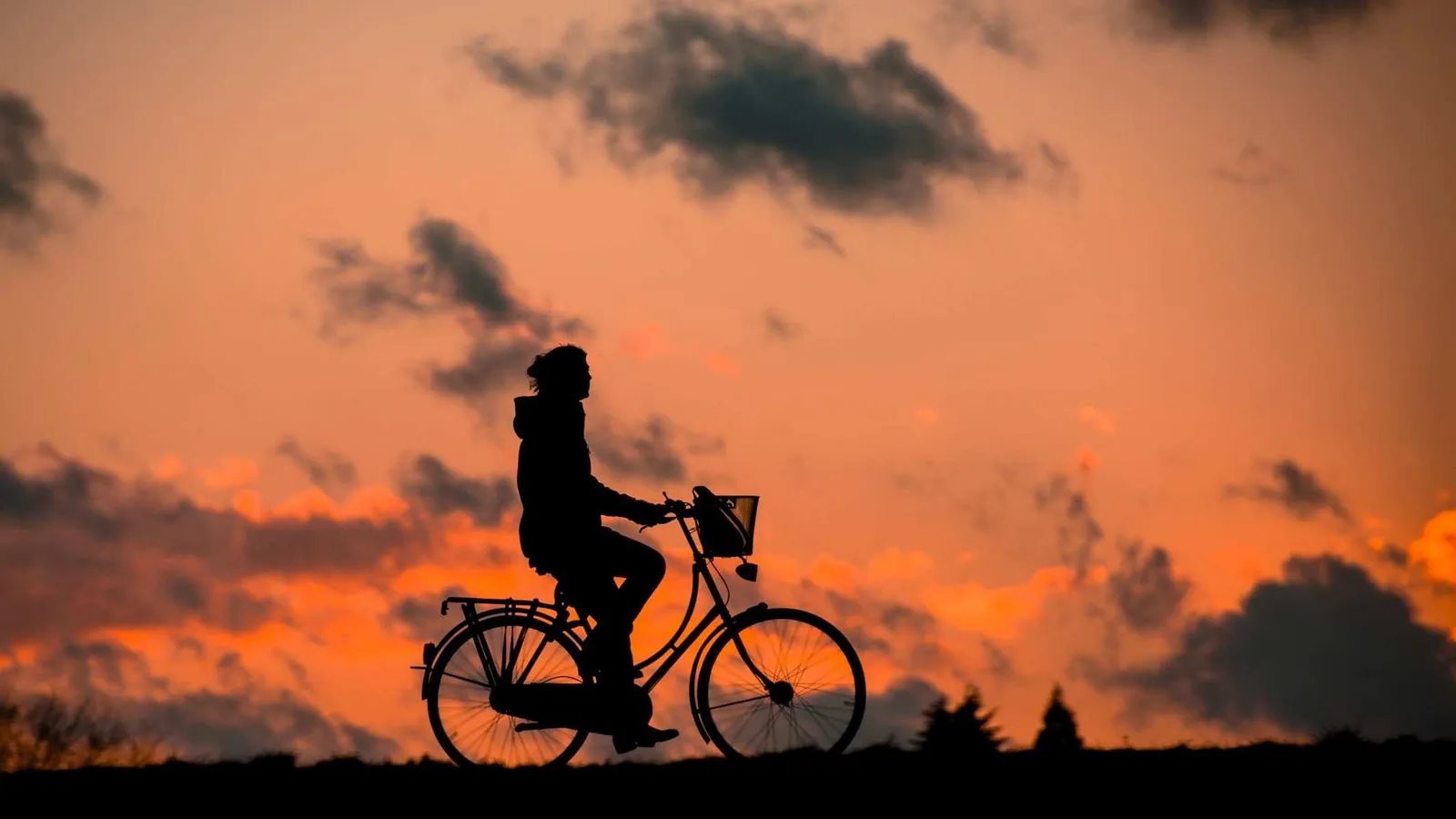 Bicycle by the water