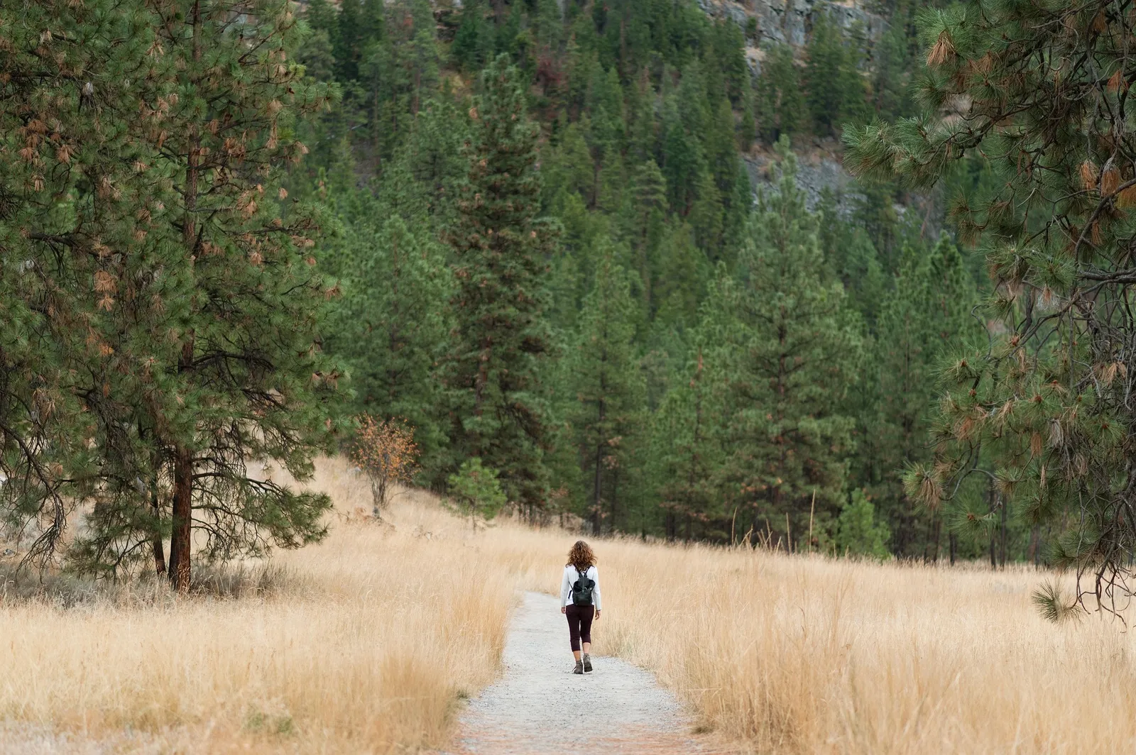 A walk through nature